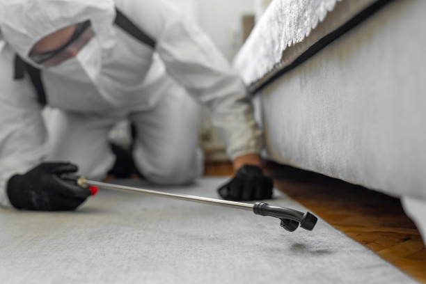 Professional Bed Bug Control technician working in Warren Park, IN